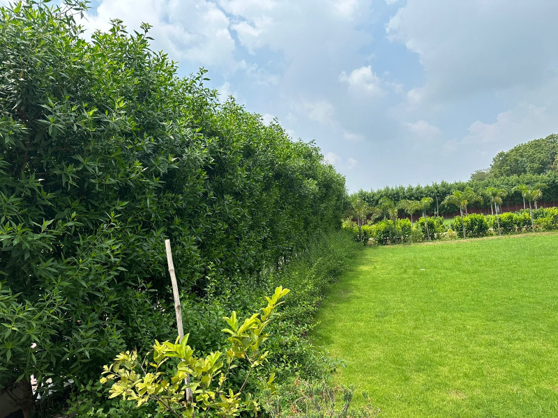 1 BHK Farm House 3630 Sq. Yards for Sale in Sohna, Gurgaon