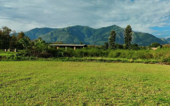 1 BHK Farm House for Sale in Sohna Road, Gurgaon