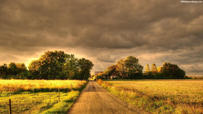  Agricultural Land 4 Acre for Sale in Sohna, Gurgaon