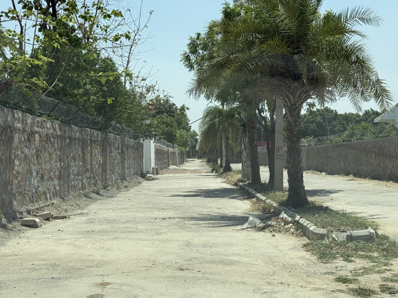 1 BHK Farm House 1210 Sq. Yards for Sale in Sohna, Gurgaon
