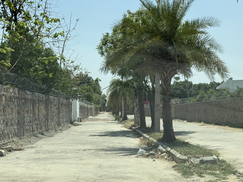 1 BHK Farm House 1210 Sq. Yards for Sale in Sohna, Gurgaon