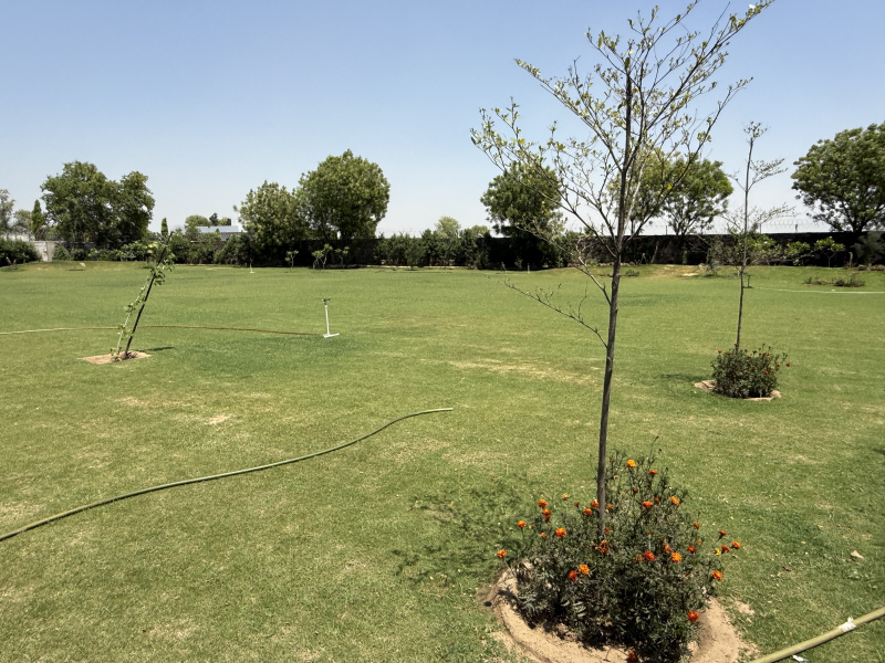 1 BHK Farm House 1210 Sq. Yards for Sale in Sohna, Gurgaon