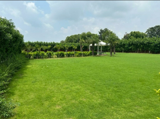 2 BHK Farm House 1 Acre for Sale in Sohna, Gurgaon