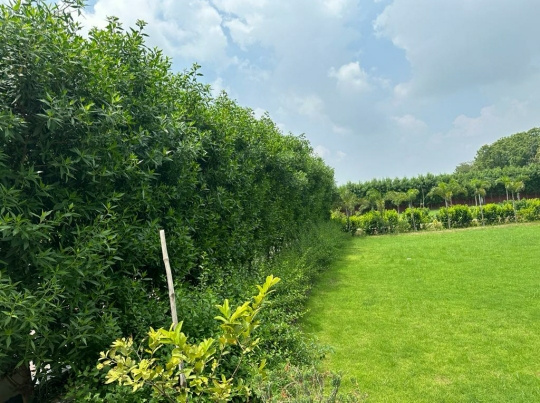2 BHK Farm House 1 Acre for Sale in Sohna, Gurgaon