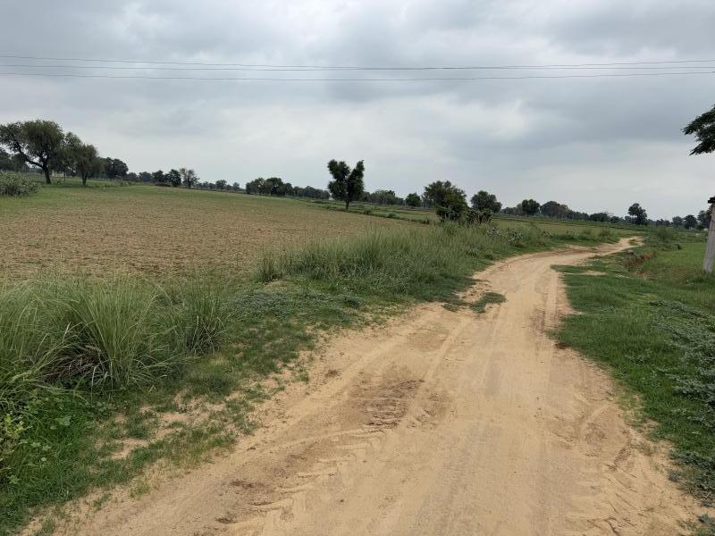 1 RK Farm House 1 Acre for Sale in Sohna Road, Gurgaon