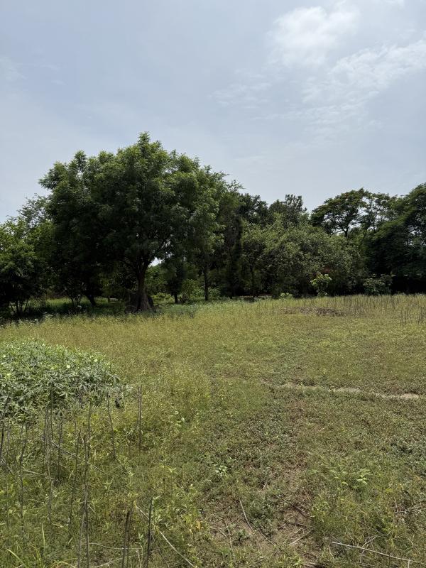 1 RK Farm House 1 Acre for Sale in Sohna Road, Gurgaon
