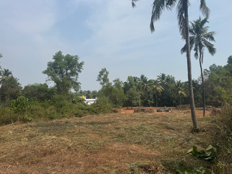  Residential Plot 11 Cent for Sale in Puttur, Dakshin Kannad