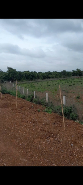  Agricultural Land 4580 Sq. Yards for Sale in Zaheerabad, Sangareddy