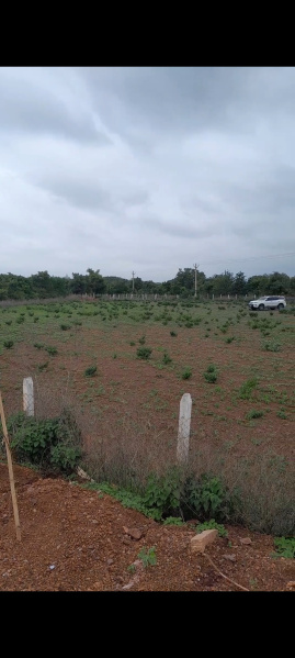  Agricultural Land 4580 Sq. Yards for Sale in Zaheerabad, Sangareddy