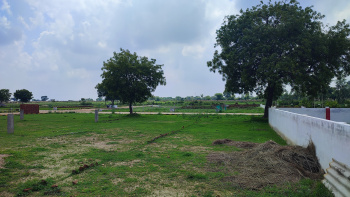  Residential Plot for Sale in Shankargarh, Allahabad