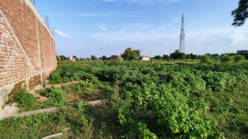  Residential Plot for Sale in Shankargarh, Allahabad