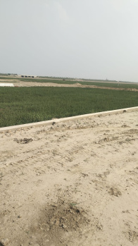  Residential Plot for Sale in Kauriya Jungle Village, Gorakhpur