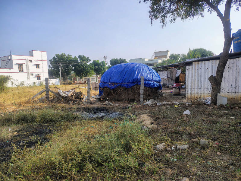  Residential Plot 1175 Sq.ft. for Sale in Solar, Erode