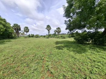  Agricultural Land for Sale in Kinathukadavu, Coimbatore