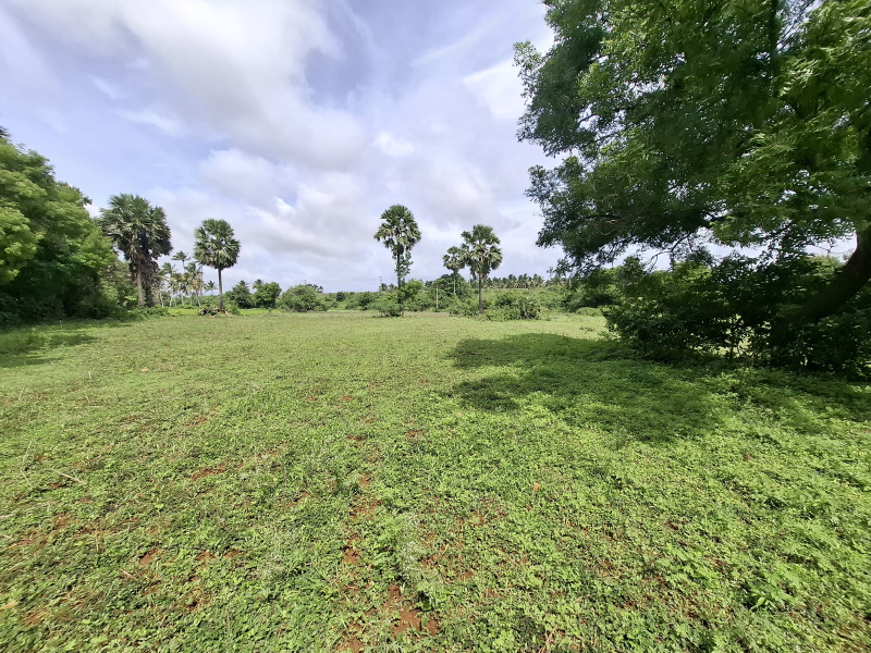  Agricultural Land 180 Cent for Sale in Kinathukadavu, Coimbatore