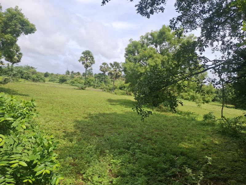  Agricultural Land 180 Cent for Sale in Kinathukadavu, Coimbatore