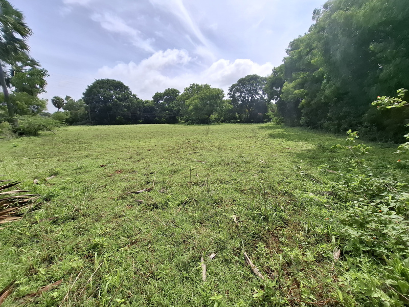  Agricultural Land 180 Cent for Sale in Kinathukadavu, Coimbatore