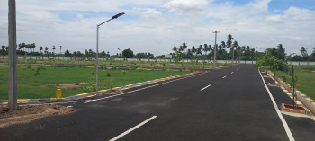  Residential Plot for Sale in Manikandam, Tiruchirappalli