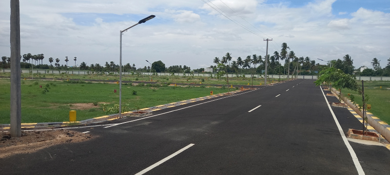  Residential Plot 1200 Sq.ft. for Sale in Manikandam, Tiruchirappalli