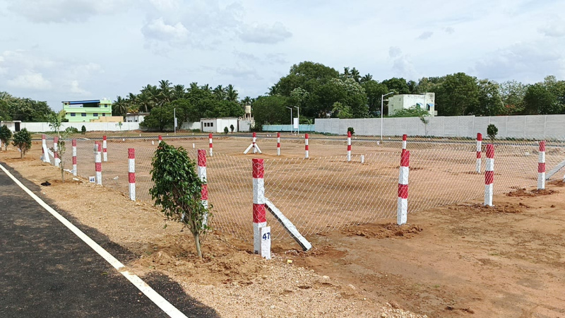  Residential Plot 1200 Sq.ft. for Sale in Thiruverumbur, Tiruchirappalli