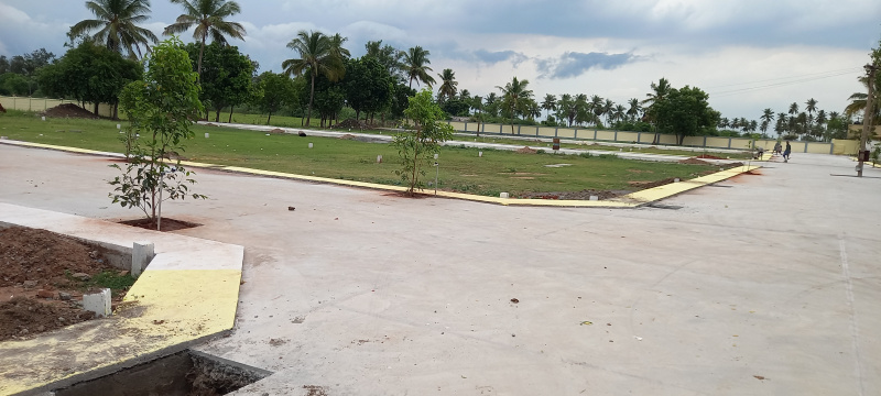  1200 Sq.ft. Residential Plot for Sale in Panjapur, Tiruchirappalli