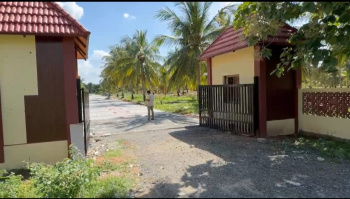  Agricultural Land for Sale in Karumandapam, Tiruchirappalli