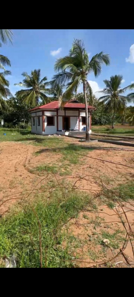  10000 Sq.ft. Agricultural/Farm Land for Sale in Karumandapam, Tiruchirappalli