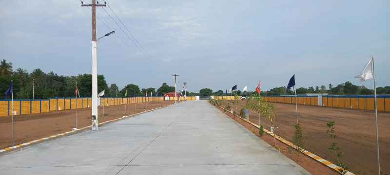  1500 Sq.ft. Residential Plot for Sale in Panjapur, Tiruchirappalli