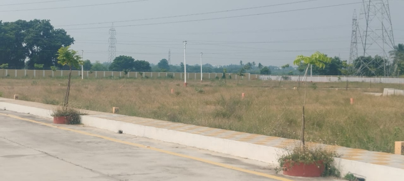  1800 Sq.ft. Residential Plot for Sale in Panjapur, Tiruchirappalli