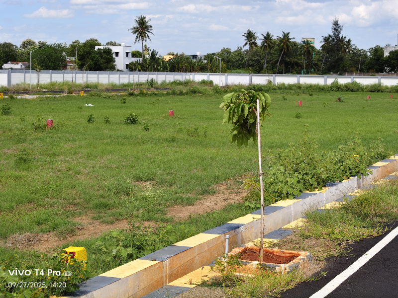  1200 Sq.ft. Residential Plot for Sale in Panjapur, Tiruchirappalli
