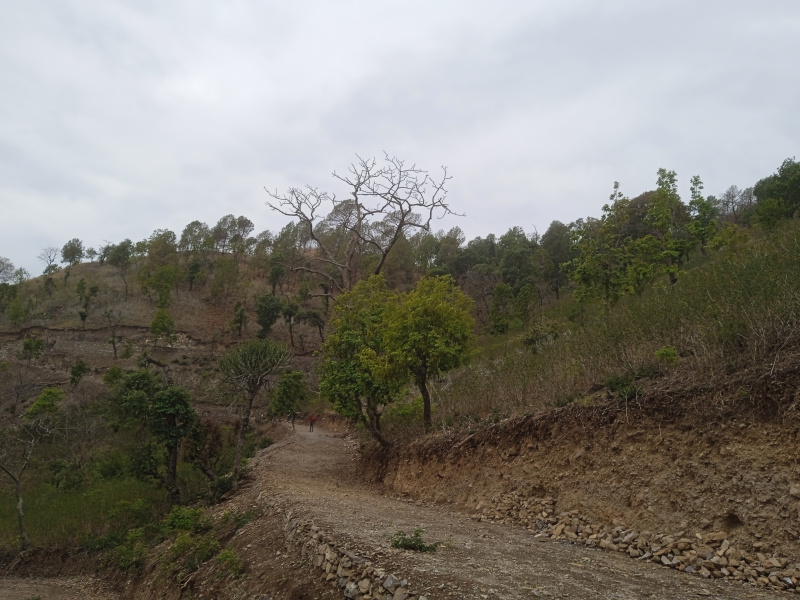 Residential Plot 10800 Sq.ft. for Sale in Bhimtal, Nainital