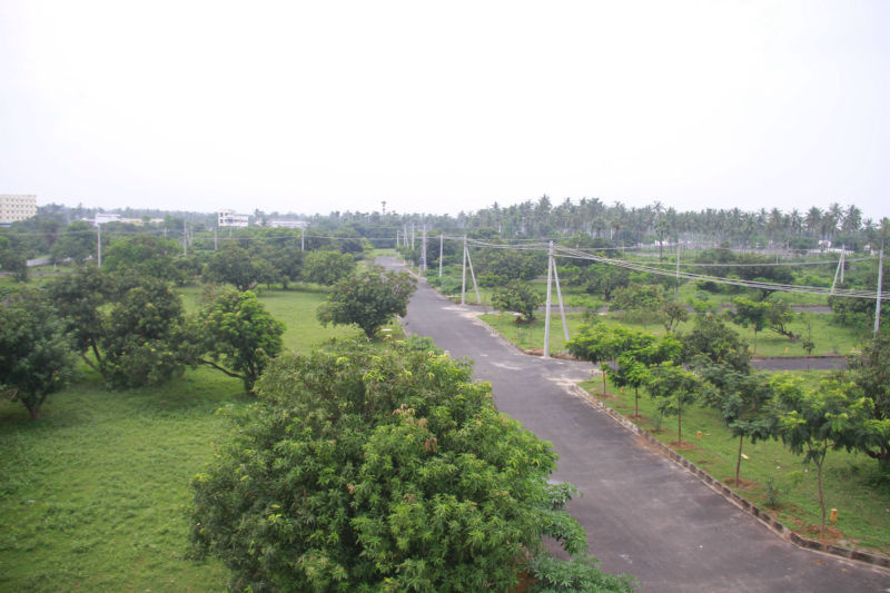  Residential Plot 200 Sq. Yards for Sale in Achutapuram, Visakhapatnam