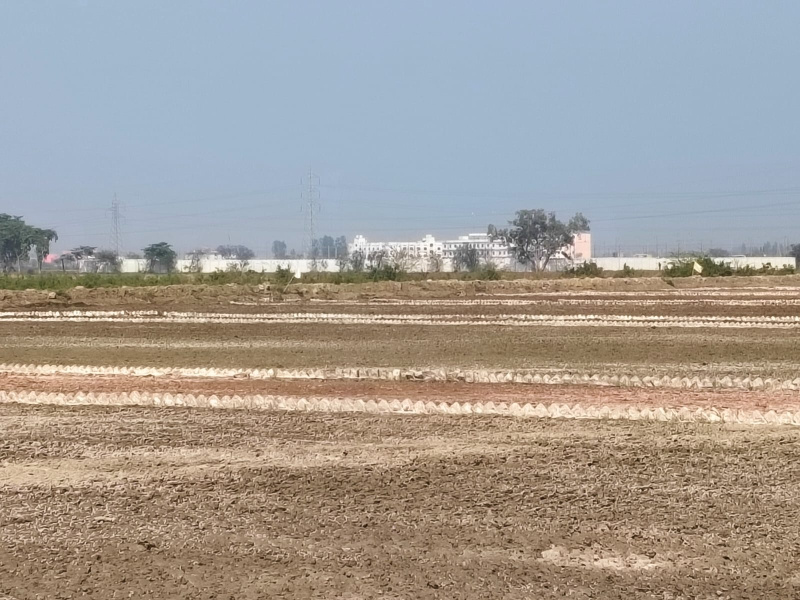  Residential Plot 100 Sq. Yards for Sale in NH-2, Vrindavan