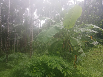  Residential Plot for Sale in Pernem, Goa