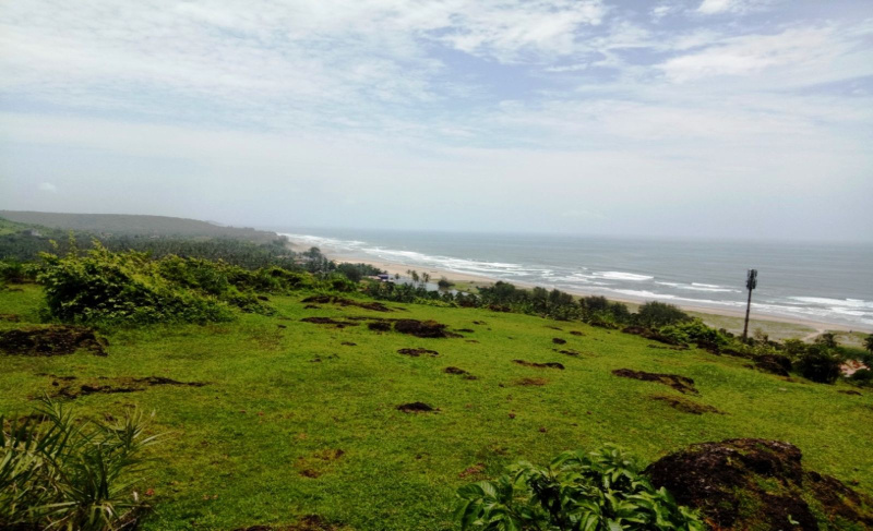  Residential Plot 111862 Sq. Meter for Sale in Mandrem, North Goa, 