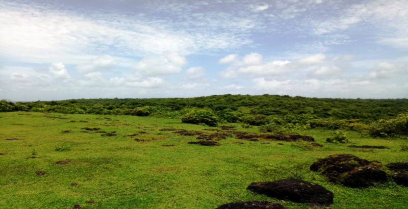  Residential Plot 111862 Sq. Meter for Sale in Mandrem, North Goa, 