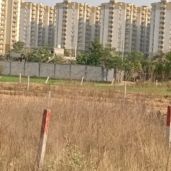  Residential Plot 9 Marla for Sale in 66 Feet Road, Jalandhar