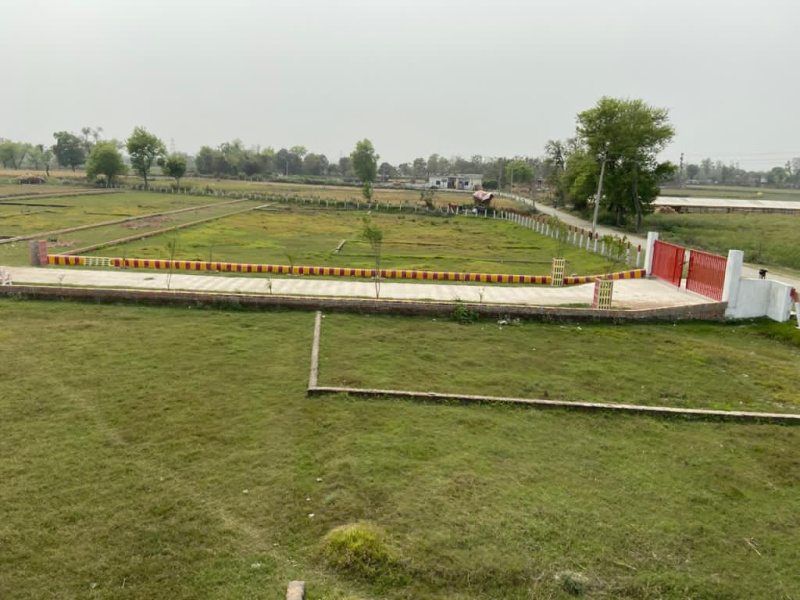  Residential Plot 1000 Sq.ft. for Sale in Deva Road, Lucknow