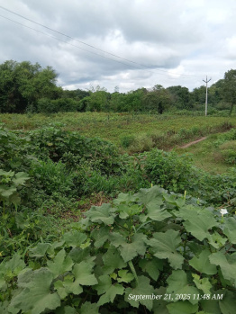  Residential Plot for Sale in Saswad, Pune