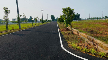  Residential Plot for Sale in Tagarapuvalasa, Visakhapatnam