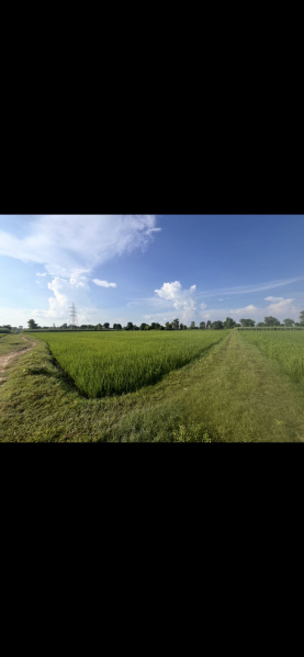  Agricultural Land 3 Acre for Sale in Puranpur, Pilibhit