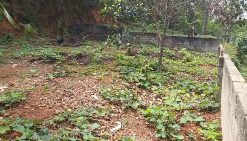  8 Cent Residential Plot for Sale in Nedumangad, Thiruvananthapuram