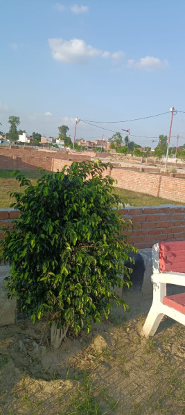  Residential Plot 1000 Sq.ft. for Sale in Gosaiganj, Lucknow