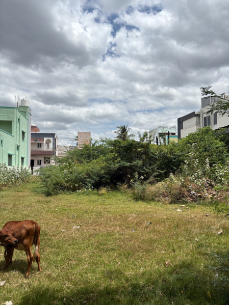 Residential Plot 1440 Sq.ft. for Sale in Avalurpet, Tiruvannamalai