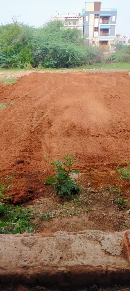  Residential Plot 1650 Sq.ft. for Sale in Rajam, Srikakulam