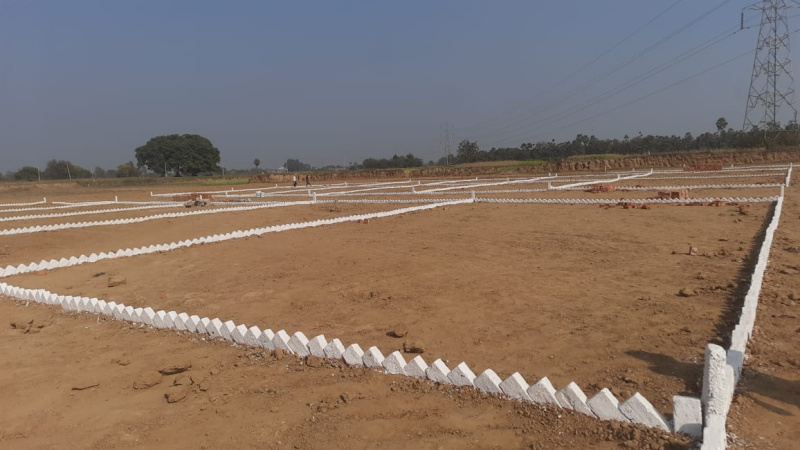 1200 Sq.ft. Residential Plot for Sale in Bihta, Patna