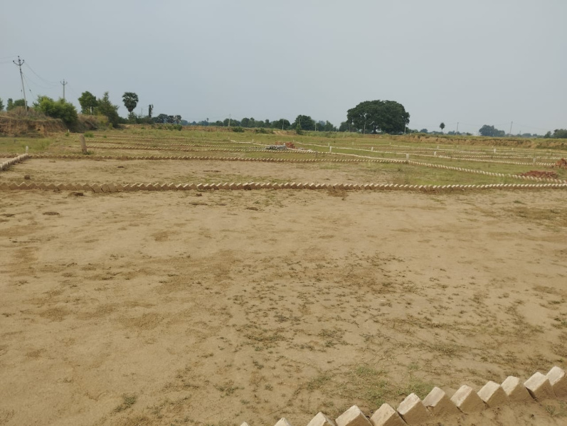 1200 Sq.ft. Residential Plot for Sale in Bihta, Patna