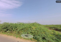  Industrial Land for Sale in Eral, Thoothukudi