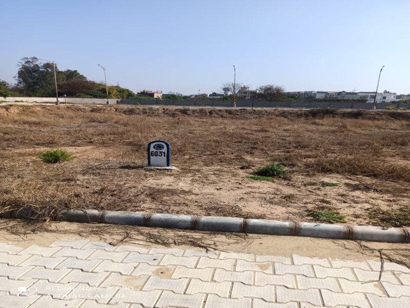  Residential Plot 135 Sq. Yards for Sale in Sector 127 Mohali