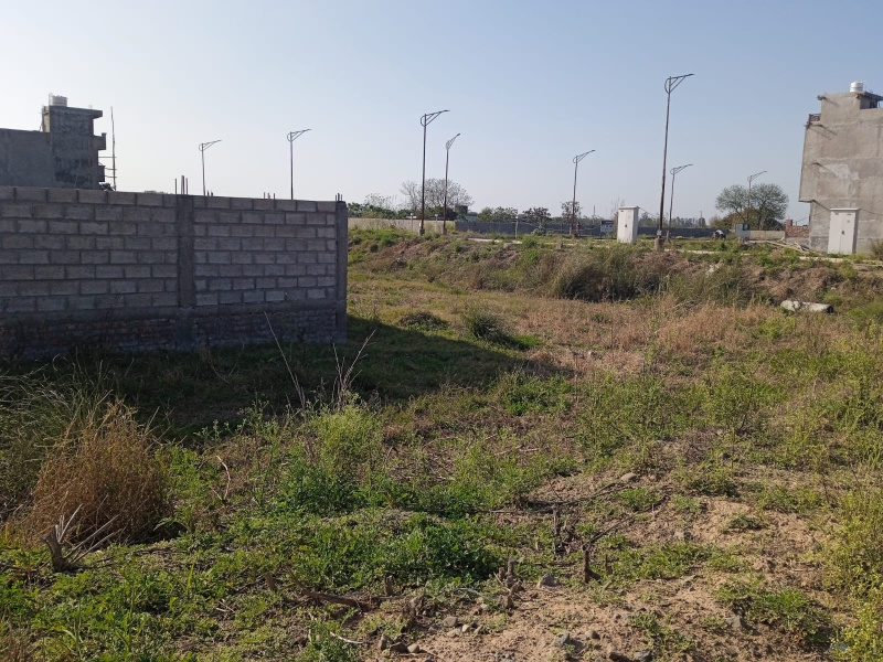  Residential Plot 135 Sq. Yards for Sale in Sector 127 Mohali